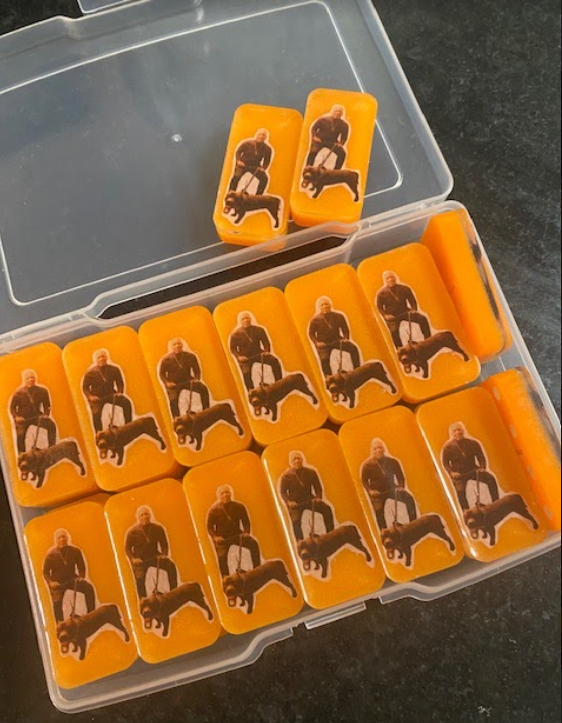 Custom Domino Set/Plastic Case